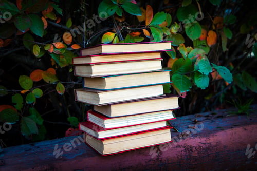 Preview: Pile Of The Old Books On The Leaves Background Outdoor