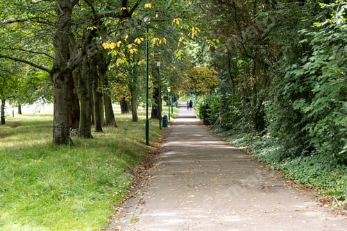 Preview: Long Narrow Park Path Image