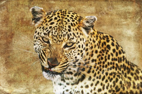 Preview: Leopard On Textured Grunge Background