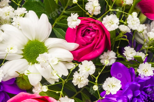 Preview: Background For A Greeting Card - Beautiful Gift Bouquet Of Various Colorful Decorative Summer