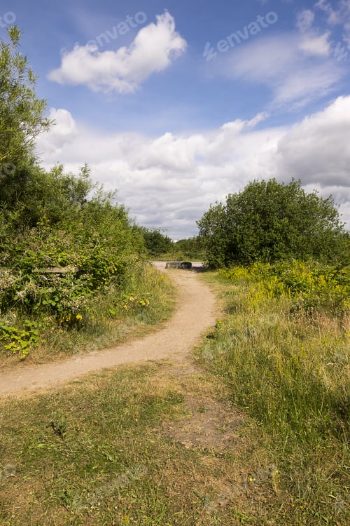 Preview: Summer Countryside
