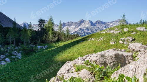 Preview: Amazing Mountain Landscape With Forest Below