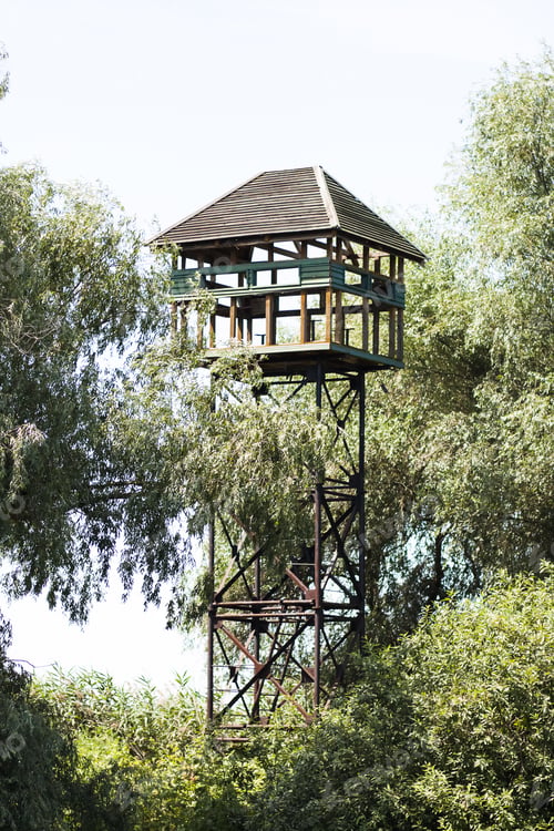 Preview: Danube Delta Landscape With Tree House