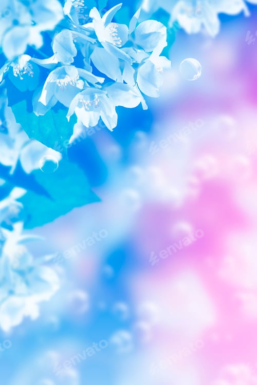 Preview: White Jasmine. The Branch Delicate Spring Flowers