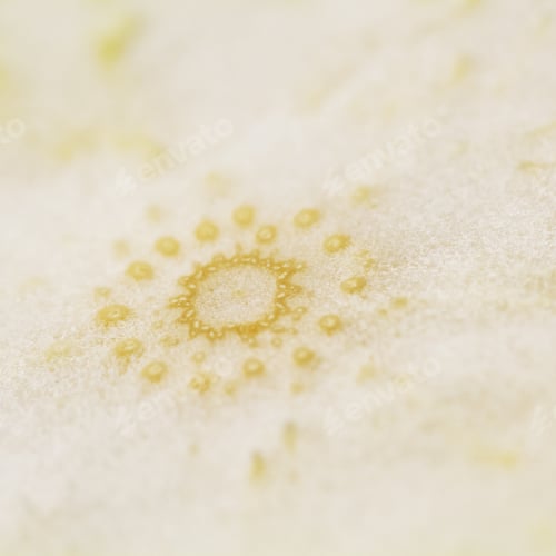 Preview: Shaddock Peel On The Inside With Texture
