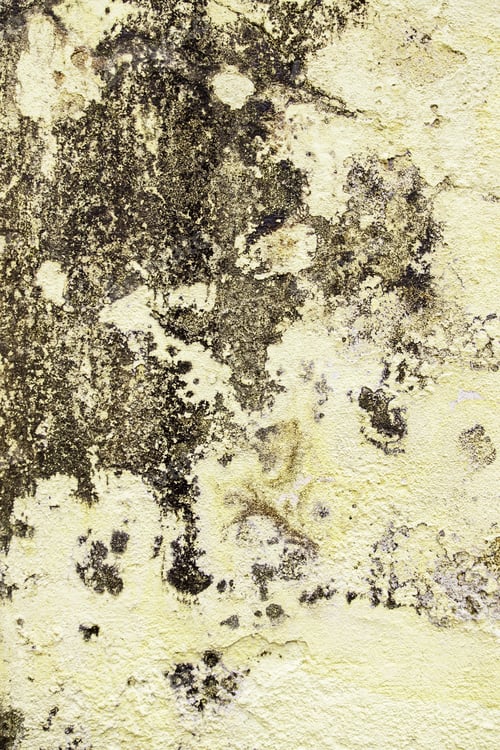Preview: Rough Cement Wall, Detail Of A Textured