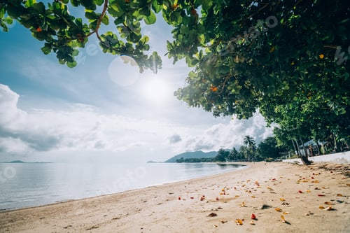 Preview: Tropical Utterance Landscape. Sea Coast At Sunrise. The Sun Rises Over A Sandy Deserted Beach On A
