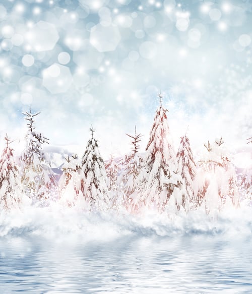 Preview: Winter. Snowfall.