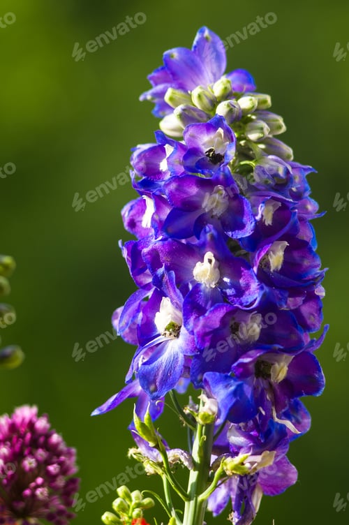 Preview: A Bouquet Of Bright Spring Flowers Of Various Types