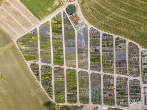 Preview: Aerial View Of Rows Of Cultivated Young Plants In Plant Nursery