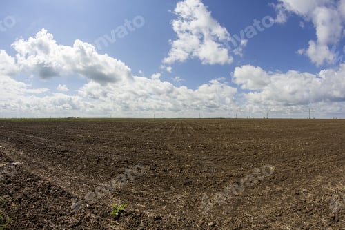 Preview: Agricultural Field and Clouds on a Sunny Day