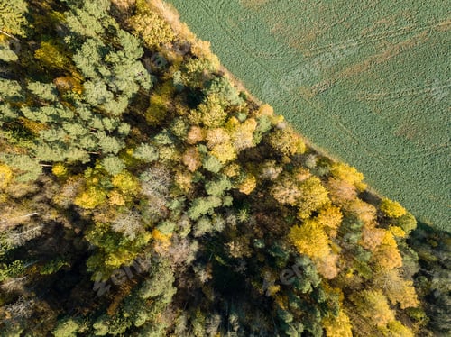 Preview: Drone Image. Aerial View Of Rural Area With Fields And Forests In Cloudy Autumn Day With Yellow