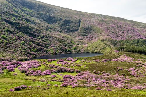 Preview: Scenic Area In The Vee, Co.Tipperary, Ireland