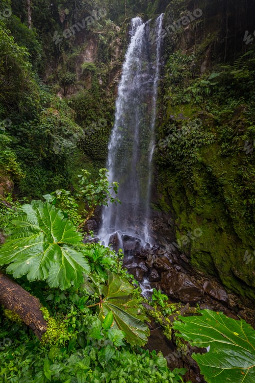 Preview: Waterfall In A Cloud Forest Near Boquete, Panama