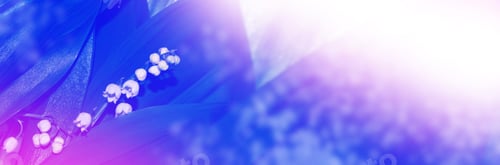 Preview: Spring Landscape. Flowers Lily Of The Valley. Outdoors