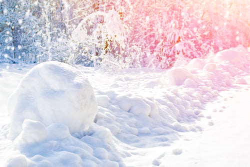 Preview: Frozen Winter Forest With Snow Covered Trees. Outdoor