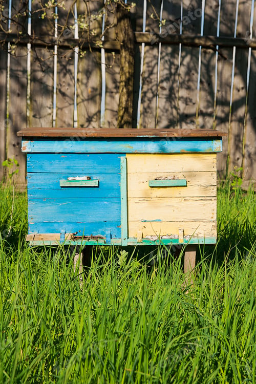 Preview: Several Beehives In Front Of Fence In The Fruit Garden In Ukraine. Beekeeper Is Working With Bees