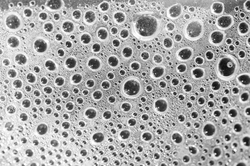 Preview: Black And White Water Drops Inside The Greenhouse - Condensation On Plastic Surface