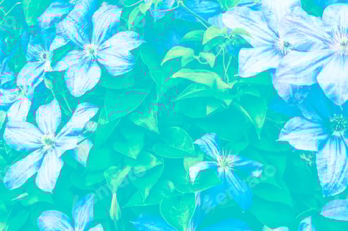 Preview: Summer Landscape. Colorful And Bright Flowers Clematis