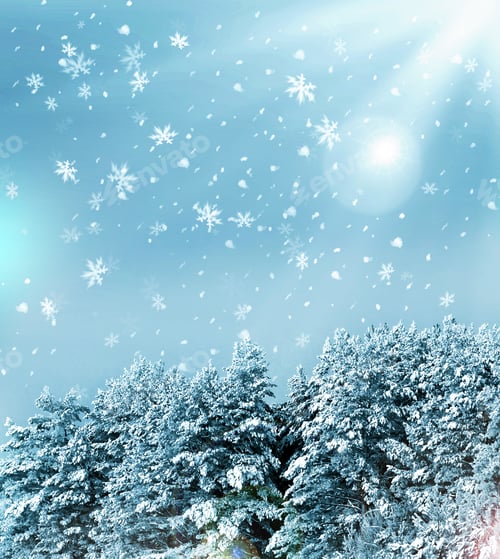 Preview: Winter Forest