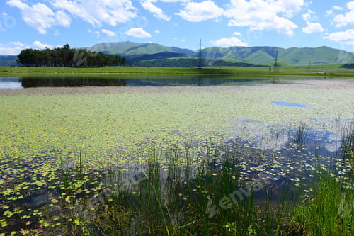 Preview: Beautiful Lake Landscape