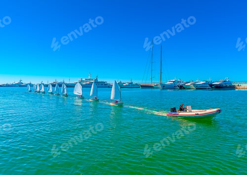 Preview: Optimist Type Sailing Boats During Training At Palaio Faliro Gulf In Athens Greece