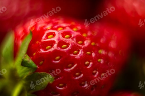 Preview: Fresh Ripe Strawberries On Black Ceramic Plate