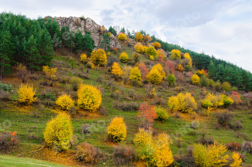 Preview: Autumn Landscape