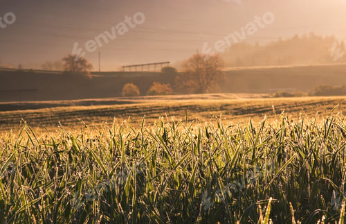 Preview: Misty Morning In Rural Countryside Of Slovenia