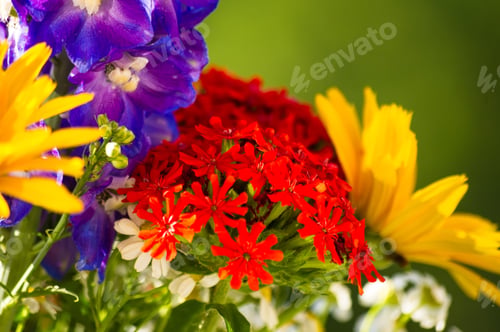 Preview: A Bouquet Of Bright Spring Flowers Of Various Types
