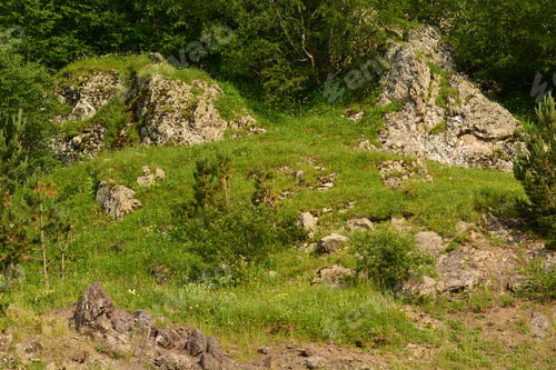 Preview: Nature Scenery