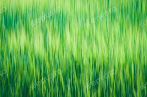 Preview: Summer Green Meadow With Abstract Pattern From Grass And Flowers. Sunny Day In Latvia - Vintage Old