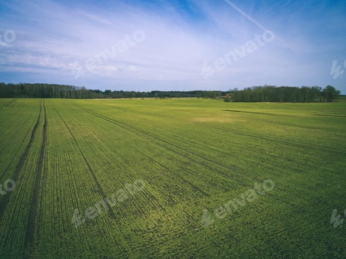Preview: Drone Image. Aerial View Of Rural Area With Freshly Green Fields, Country Roads And Tractor Tracks