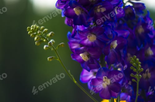 Preview: A Bouquet Of Bright Spring Flowers Of Various Types