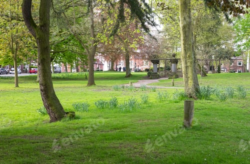 Preview: Trees In A Public Park In Ilkeston , Derbyshire, Uk