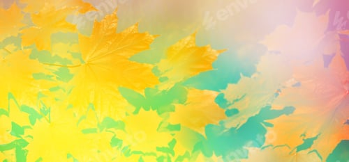 Preview: Autumn Landscape With Bright Colorful Foliage. Indian Summer.