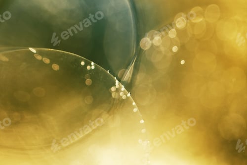 Visualização: Jogos subaquáticos abstratos com bolas de gelatina, bolhas e luz