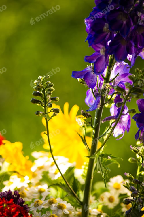 Preview: A Bouquet Of Bright Spring Flowers Of Various Types
