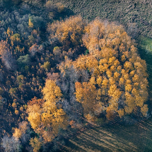 Preview: Aerial View Over The Colourful Trees And Fields In Autumn