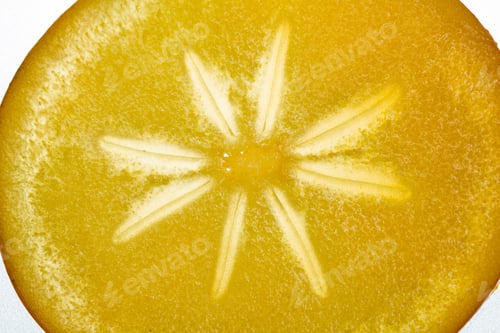 Preview: Persimmon Slice - Texture