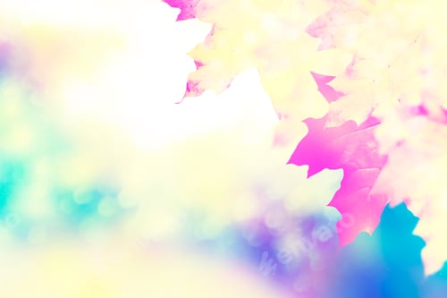 Preview: Autumn Landscape With Bright Colorful Leaves. Indian Summer.