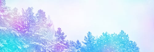 Preview: Frozen Winter Forest With Snow Covered Trees.