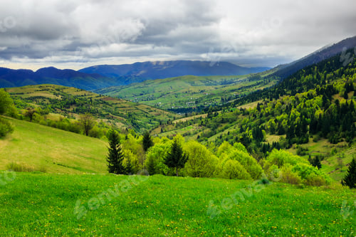 Preview: Mountain Summer Landscape. Trees Near Meadow And Forest On Hillside Under Sky With Clouds
