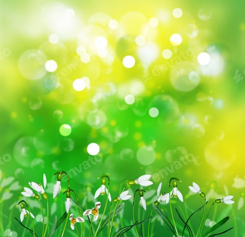 Preview: Bouquet Of Spring Flowers Snowdrops On White Background
