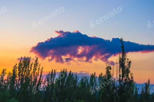 Preview: Landscape With Dramatic Light - Orange Clouds And The Outline Of Trees At Sunset