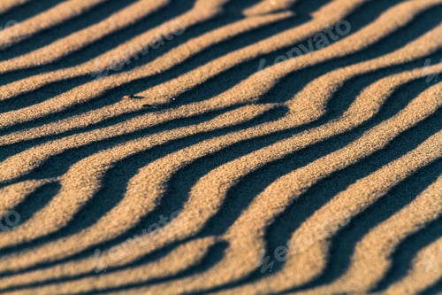 Preview: Sand Texture With Stones In The Beach