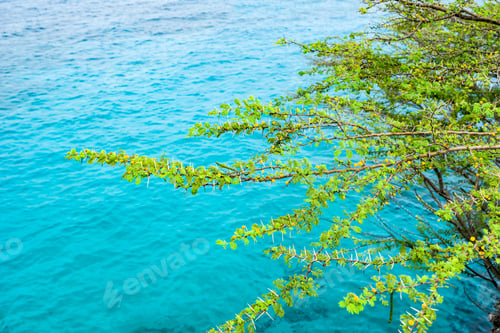 Preview: Knip Beach Views Around Curacao A Small Caribbean Island