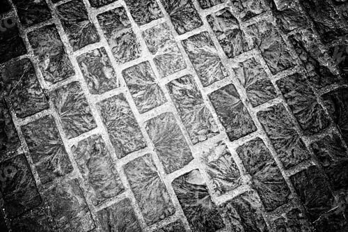 Preview: Cobblestone Floor, Detail Of A Pedestrian Land In The City