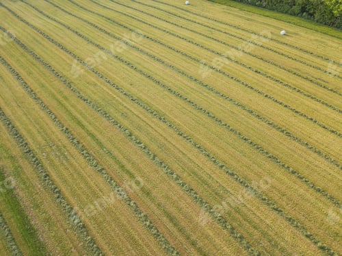 Preview: Aerial View Of Hay Field In Evening Sunlight In Switzerland With