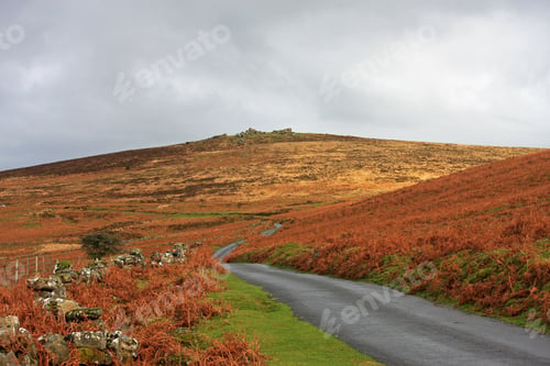 Preview: Hameldown, Devon